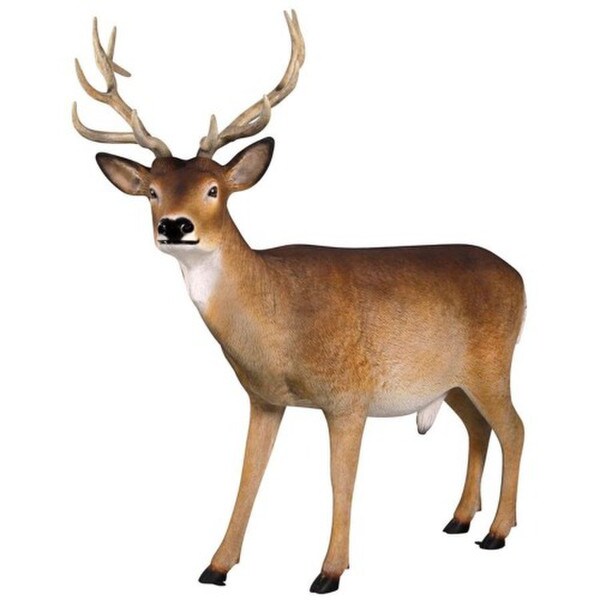 Buck White Tailed Deer Statue